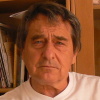 Vladimr tefanovi